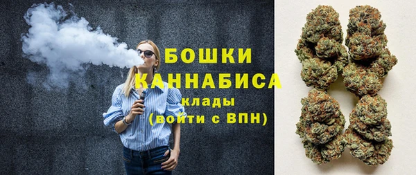 spice Аркадак